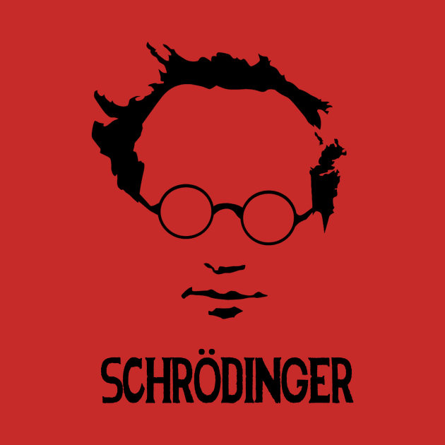 breaking schrodinger by cunfuuzed