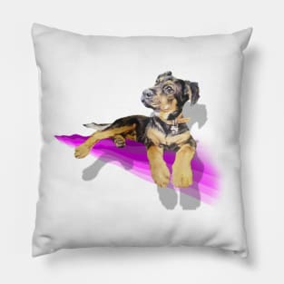 Adorable rottie puppy on a rainbow wave! Pillow