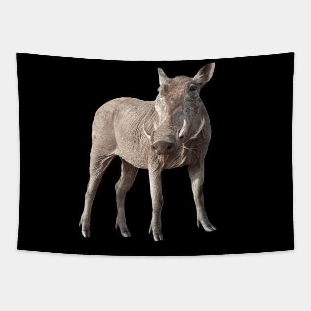 Warthog on Safari in Kenya / Africa Tapestry by T-SHIRTS UND MEHR