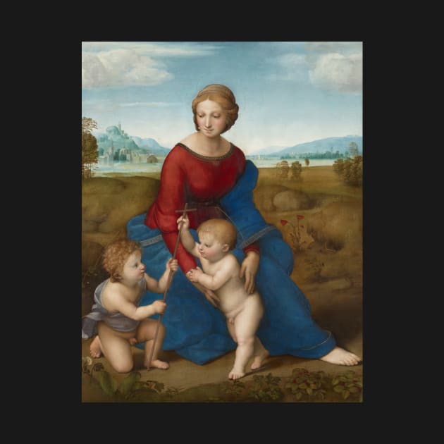 Madonna in the Meadow by Raphael by Classic Art Stall