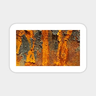 Natures RUST ART Patterns number FOUR Magnet