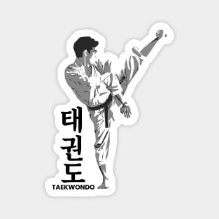 taekwondo Magnet