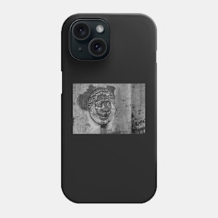 Lion head Phone Case