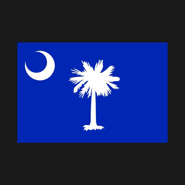 South Carolina Flag by DonWillisJrArt