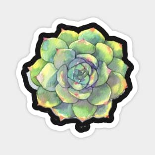 Watercolor green Succulent Magnet