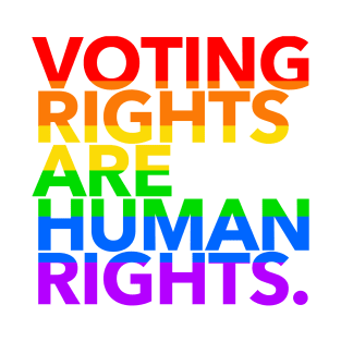 Voting Rights are Human Rights (rainbow 4) T-Shirt