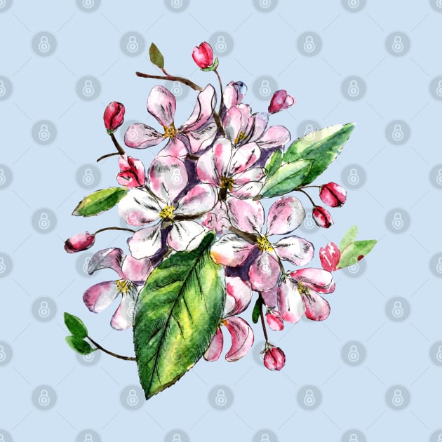 Apple Blossom Flowers Watercolor Painting by Ratna Arts