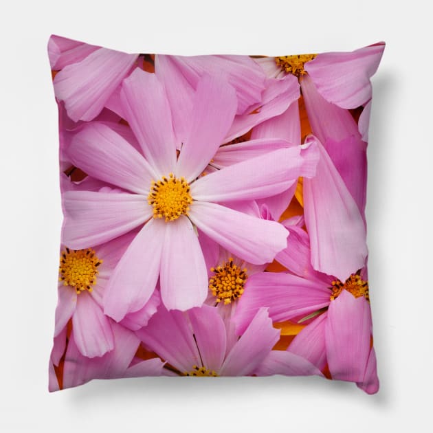 Pink Flowers Pillow by B&K