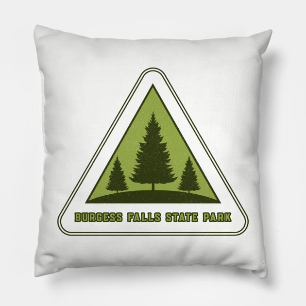 BURGESS FALLS STATE PARK Pillow by Cult Classics