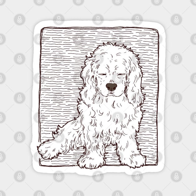 Sleepy American Cocker Spaniel Magnet by You Miichi