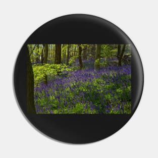 Spring Bluebell Woodlands Pin