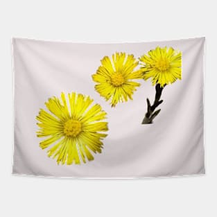 Spring flowers Tapestry