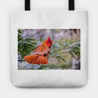 Christmas Cardinal Tote