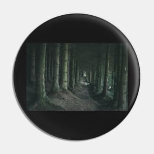 Light in the end of dark forest Pin