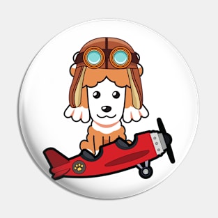 Cute poodle is in a vintage plane Pin