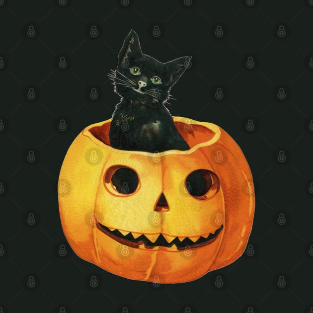 Vintage Black Cat In Pumpkin by The Curious Cabinet