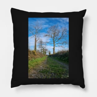 Irish country road 1 Pillow