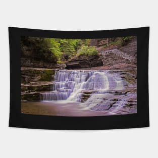 Ithaca NY Robert H. Treman State Park Pathways Tapestry