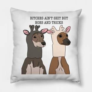 bitches ain’t shit Pillow