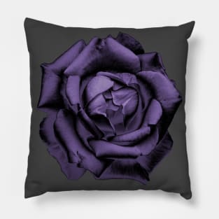 Purple Charcoal Rose Pillow
