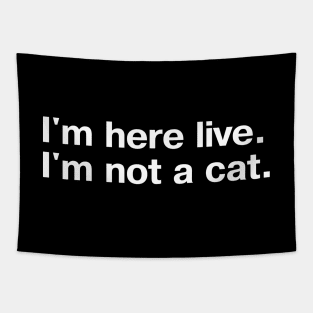 I'm here live. I'm not a cat. Tapestry