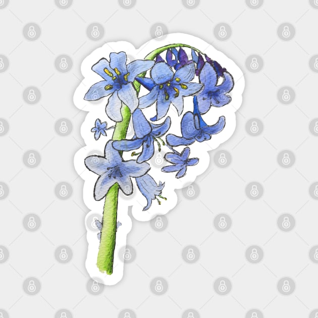 Blooming Bluebells Magnet by Kirsty Topps