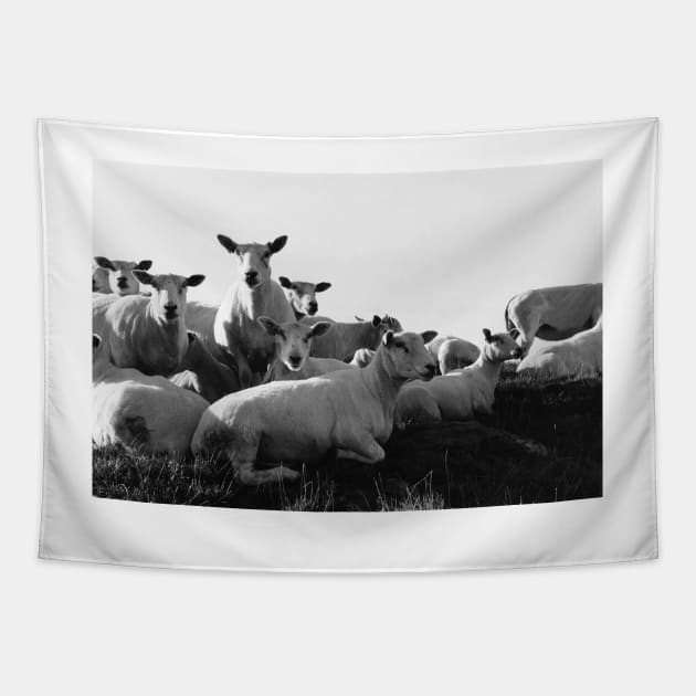 Norwegian Sheep Tapestry by ztrnorge