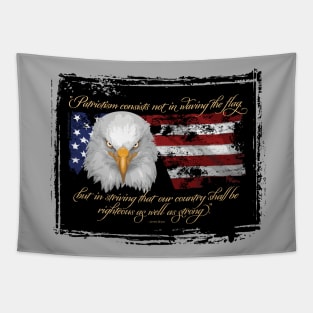 Righteous Patriotism (American pride) - a thoughtful USA tribute Tapestry