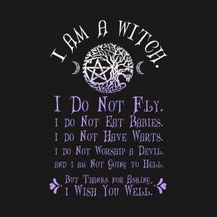 Wiccan Pagan Witch T-Shirt I am a Witch Misconceptions Tee T-Shirt