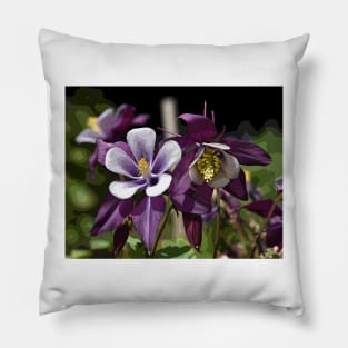 Spring Columbines in the Neighborhood Pillow