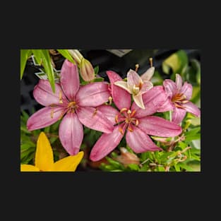 Group of Pink Star Flowers T-Shirt