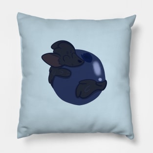 Sable Hugging a Blueberry Pillow