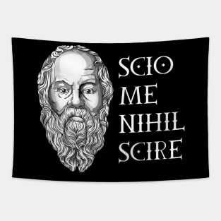 Scio me nihil scire - Socrates Tapestry