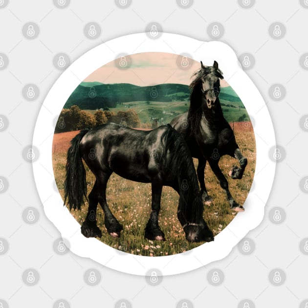 Friesian Morning Magnet by RoxanneG