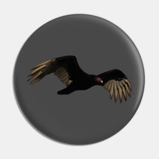 Turkey Vulture in Flight Pin