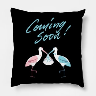 Mother's To Be, New Moms, Baby Announcement Cute, Storks, Coming Soon Design Pillow