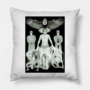 The Royal Cult of Surgeons: Creating New Surgeons Pillow