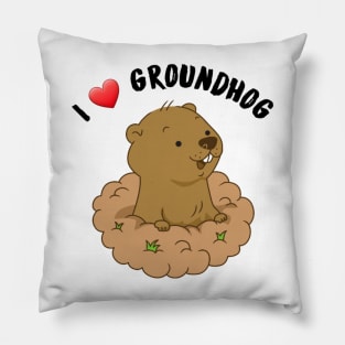 I love groundhog Pillow