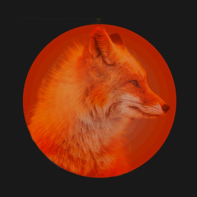 Red fox by joelsonup