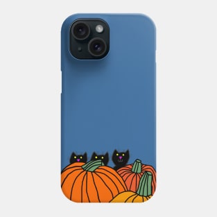 Kittens in the Pumpkin Patch with Blue Sky Phone Case