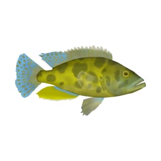 Livingston Cichlid T-Shirt