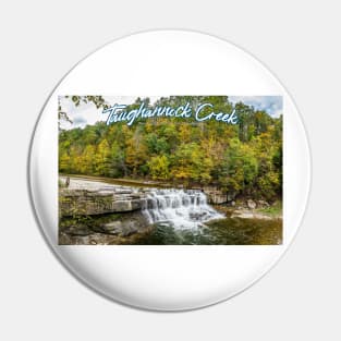 Taughannock Creek Tompkins County New York Pin