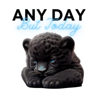 Any Day Cat T-Shirt