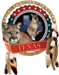 Mountain lion of Texas Magnet