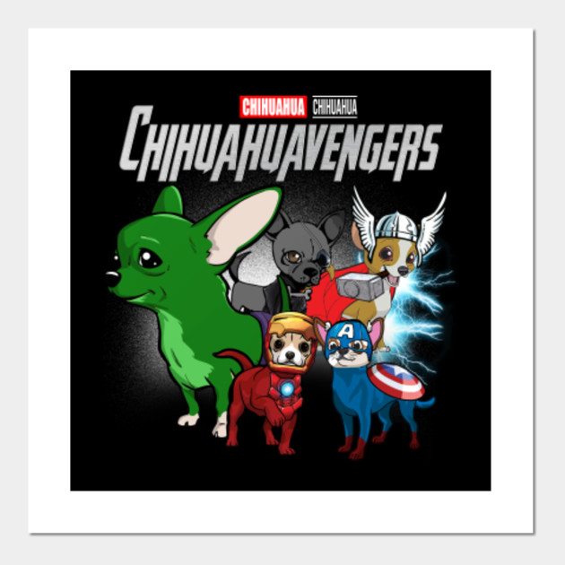 chihuahua avengers