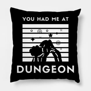 You had me at dungeon Pillow