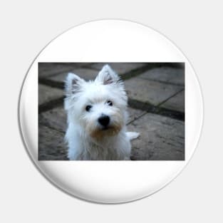 Westie Pin