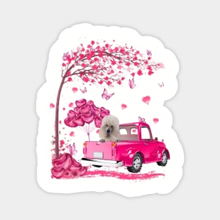 Valentine's Day Love Pickup Truck White Standard Poodle Magnet