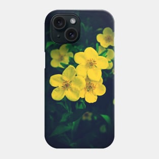 Yellow Potentilla Blossoms Phone Case