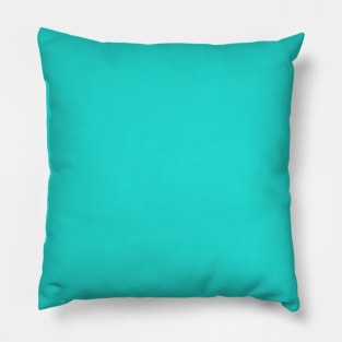 Turquoise Solid Color Pillow